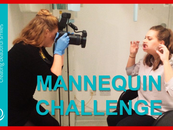 The Mannequin Challenge